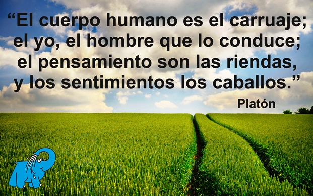 Una Enseñanza de Platón en la Frase del Día del Elefante Azul de Avilés